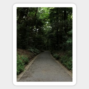 The path Sticker